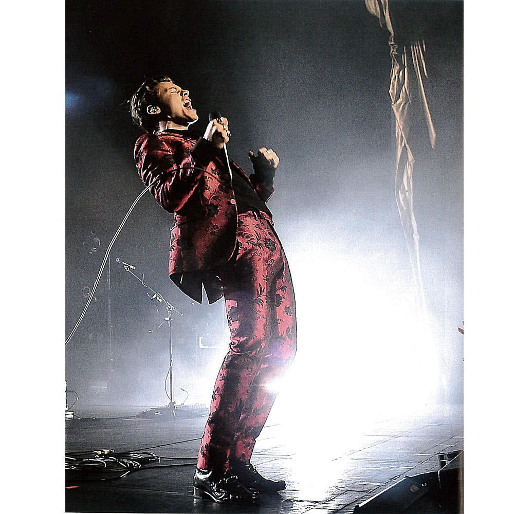 ONE DIRECTION ワンダイレクション (結成 15周年 ) - Harry Styles / Evolution of a Modern Superstar / 洋書 / 写真集 - PGS