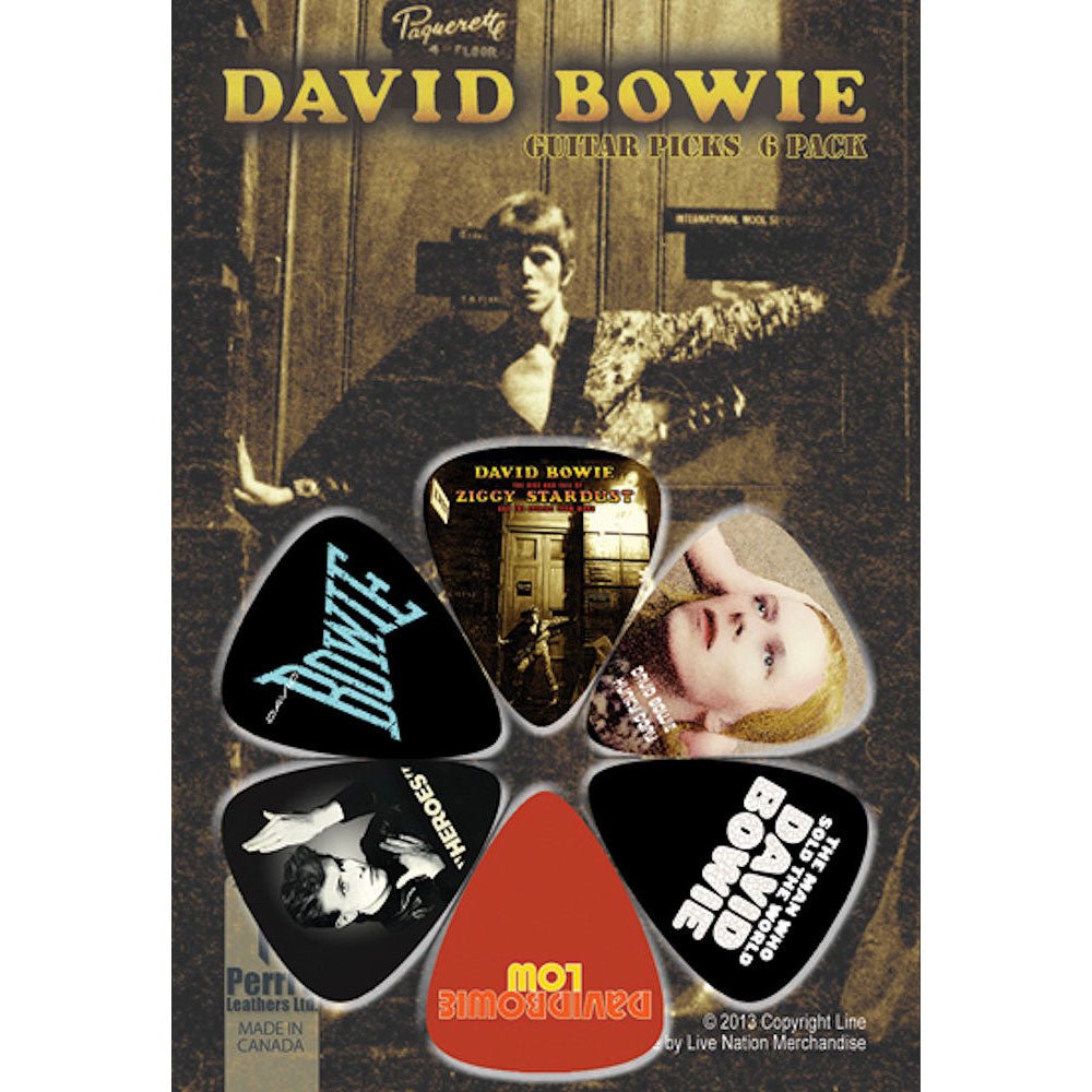 DAVID BOWIE デヴィッドボウイ - 6 PACK DAVID BOWIE PICKS / ギターピック - PGS