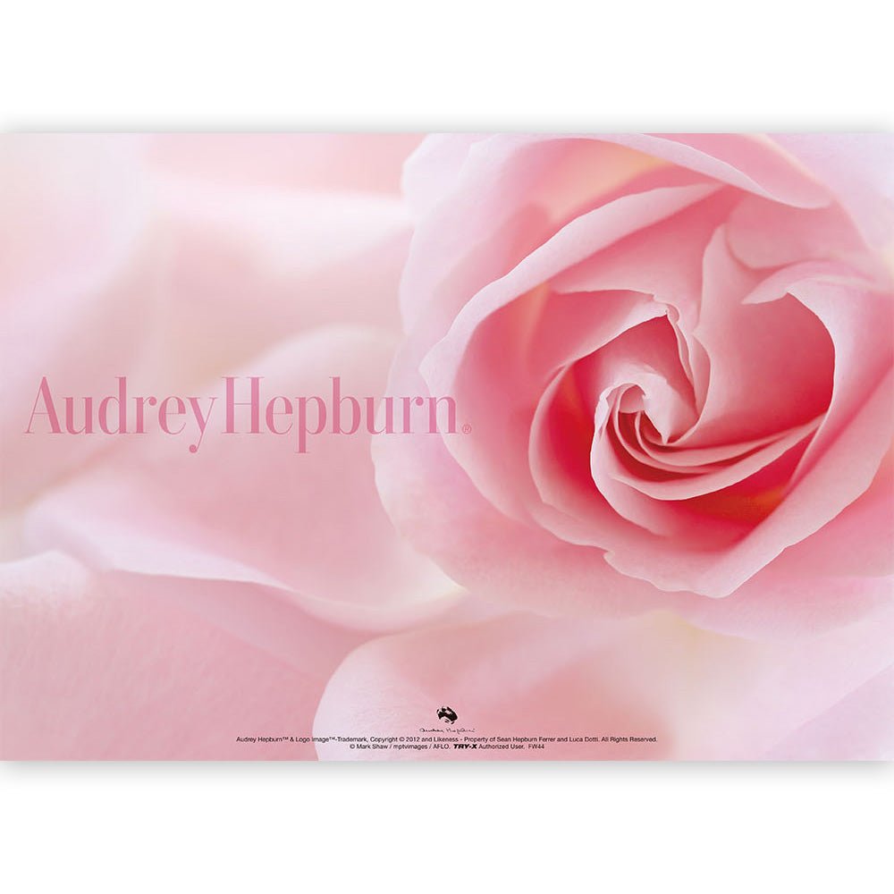 AUDREY HEPBURN|ファイル・バインダー|公式ライセンス商品|PGS