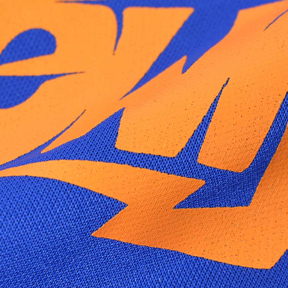 PUNK THIS TOWN パンクディスタウン - 2017 ドライTシャツ / バックプリントあり / umbro(ブランド) / Tシャツ / メンズ - PGS