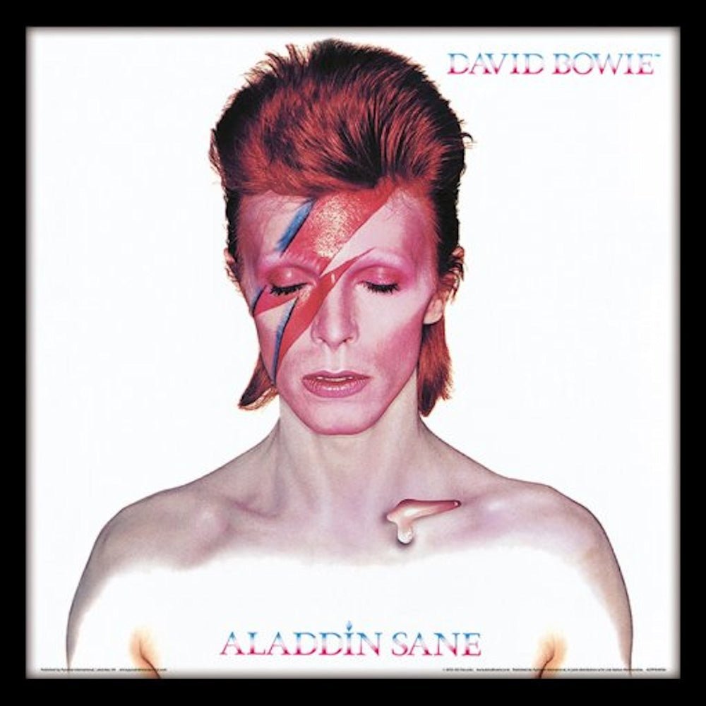 DAVID BOWIE デヴィッドボウイ - ALADDIN SANE (アルバム・シリーズ額) / インテリア額 - PGS