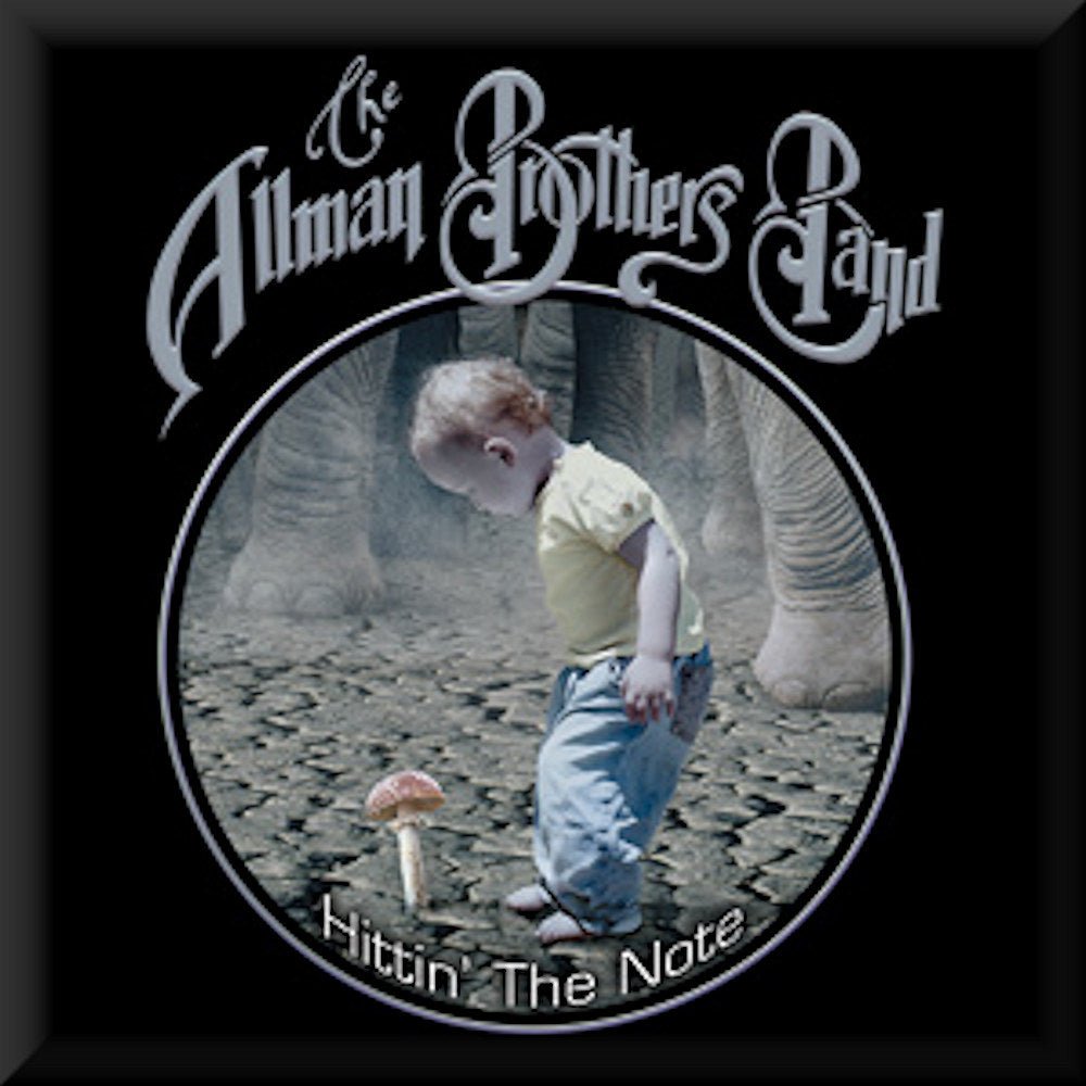ALLMAN BROTHERS BAND オールマンブラザーズバンド - Shroom Kid / バッジ - PGS