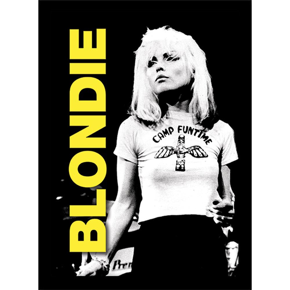 BLONDIE ブロンディ - Live / インテリア額 - PGS