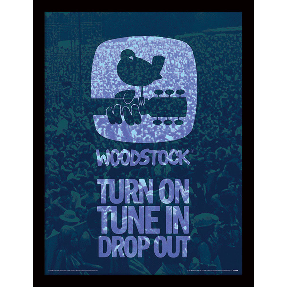 WOODSTOCK - Drop Out