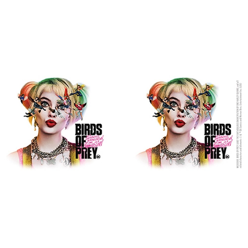 DC COMICS DCコミックス (ジョーカー 生誕 80周年 ) - Birds Of Prey / Seeing Stars / マグカップ - PGS