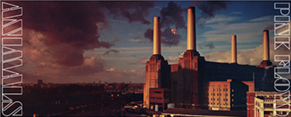 PINK FLOYD ピンクフロイド - Animals Ver2 / マグカップ