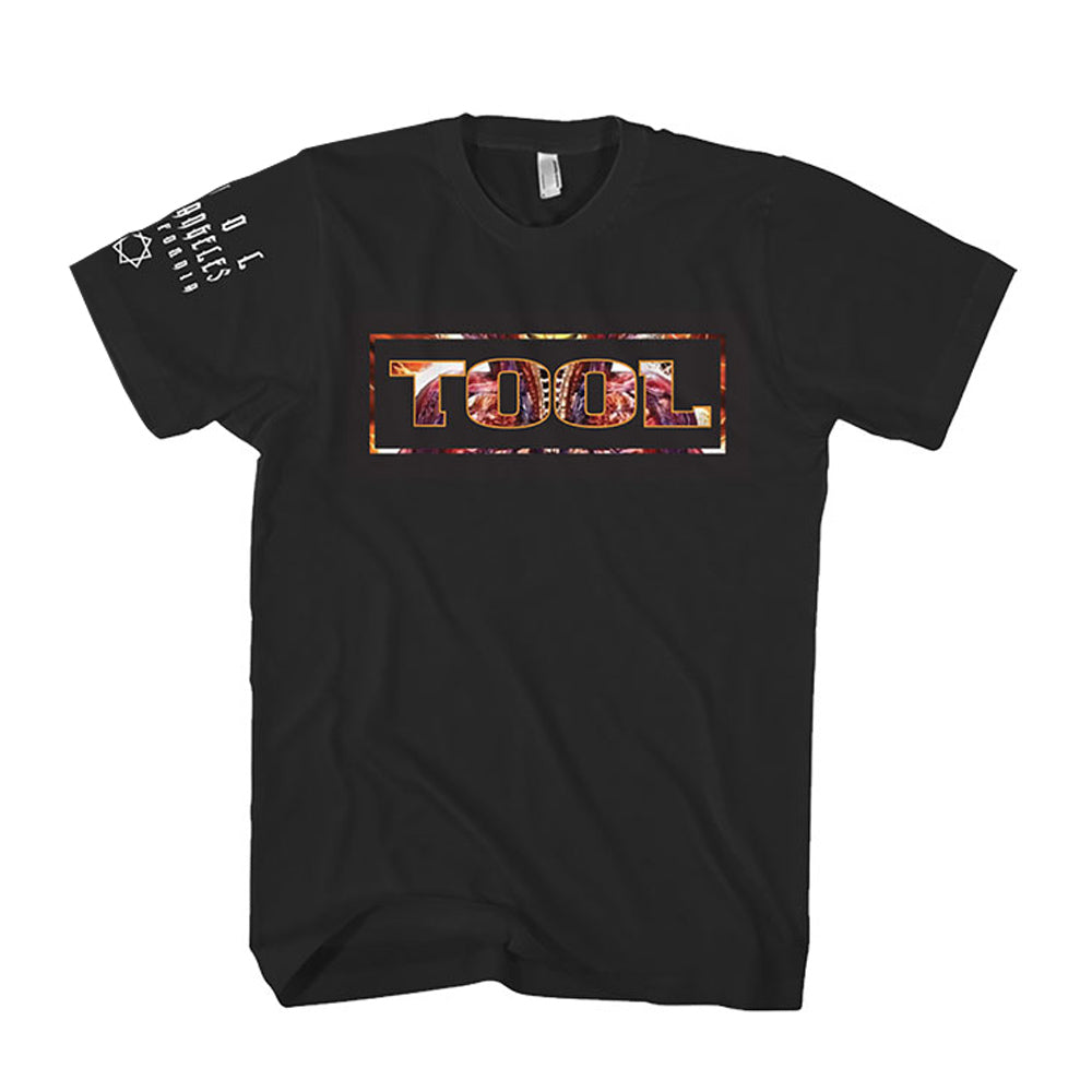 TOOL トゥール (12月 来日 ) - Parabola Logo / バックプリントあり / Tシャツ / メンズ