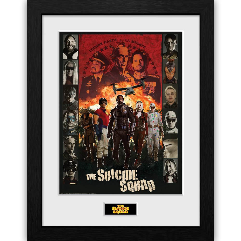 SUICIDE SQUAD スーサイドスクワッド (ジョーカー 生誕 80周年 ) - Team / インテリア額 - PGS