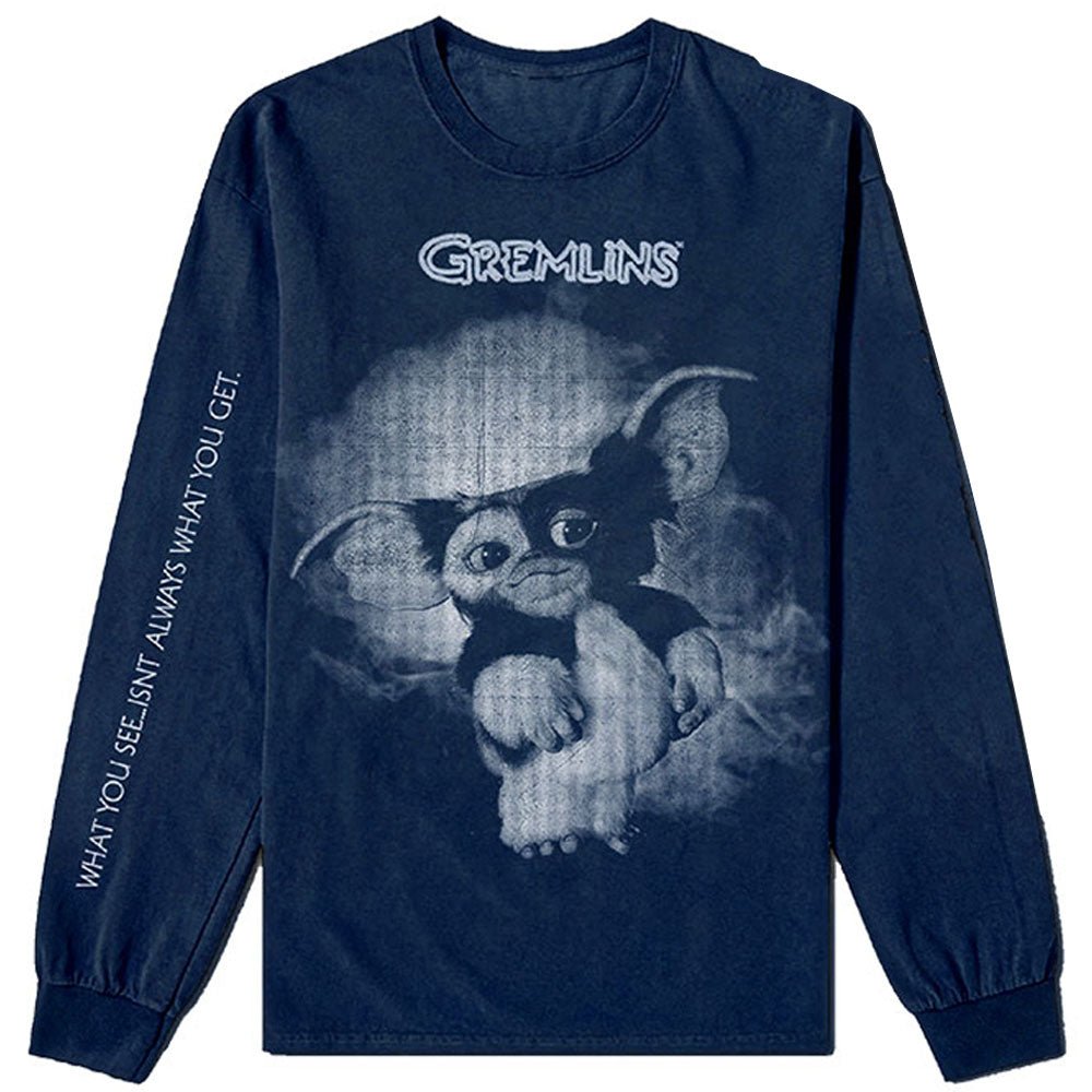 GREMLINS グレムリン - Gremlins Graphic / 長袖 / バックプリントあり / アームプリントあり / Tシャツ / メンズ - PGS