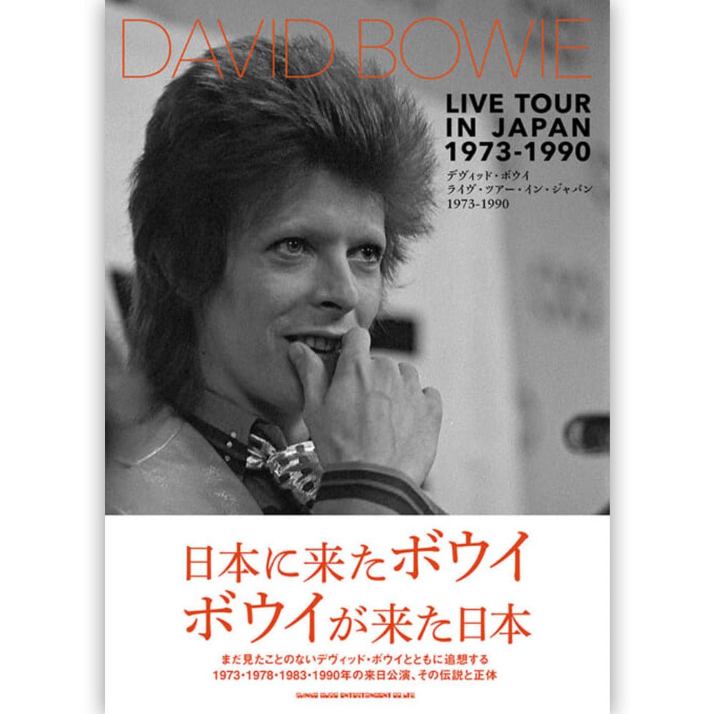 DAVID BOWIE デヴィッドボウイ - デヴィッド・ボウイ ライヴ・ツアー・イン・ジャパン 1973 - 1990 / 雑誌・書籍 - PGS