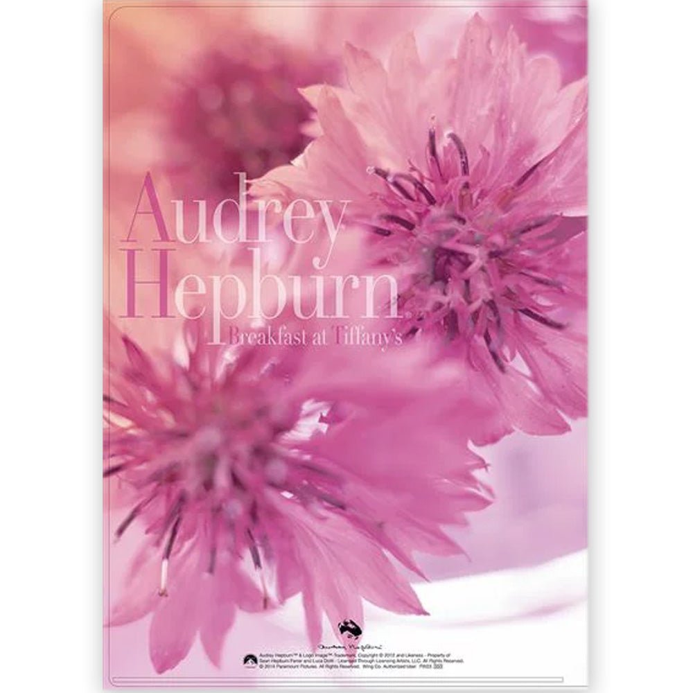 AUDREY HEPBURN オードリー・ヘプバーン - A4クリアファイル / D / ファイル・バインダー - PGS