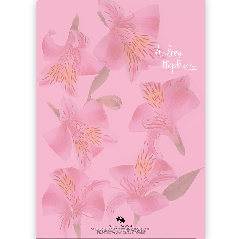 AUDREY HEPBURN オードリー・ヘプバーン - A4クリアファイル / H / ファイル・バインダー