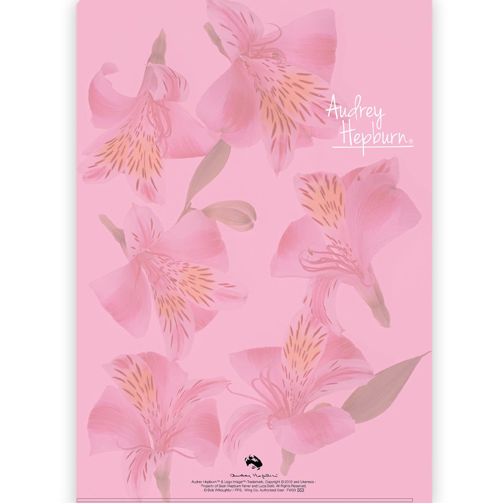 AUDREY HEPBURN オードリー・ヘプバーン - A4クリアファイル / H / ファイル・バインダー - PGS