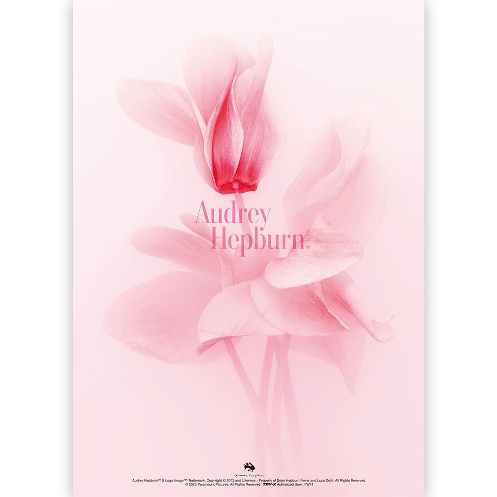 AUDREY HEPBURN オードリー・ヘプバーン - オードリー・ヘプバーン A4クリアファイル / A / ファイル・バインダー - PGS