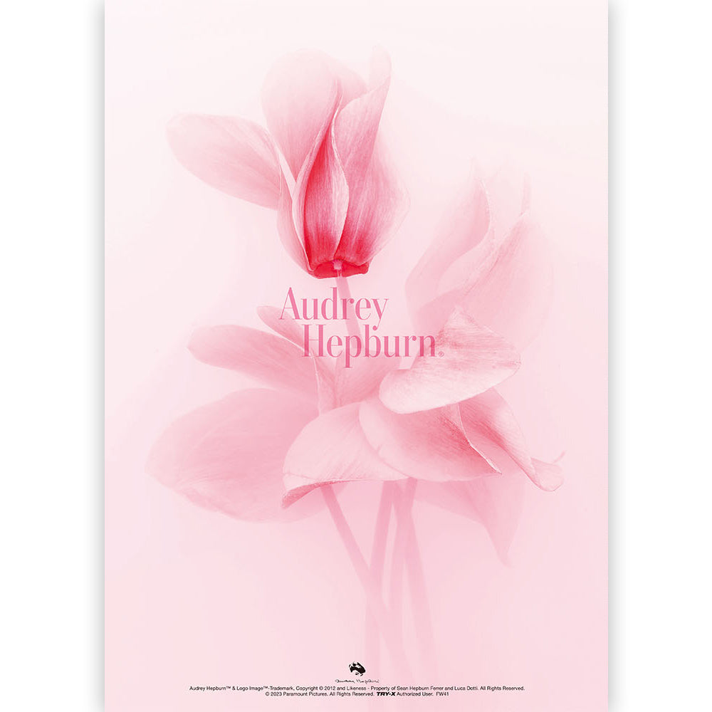 AUDREY HEPBURN オードリー・ヘプバーン - オードリー・ヘプバーン A4クリアファイル / A / ファイル・バインダー