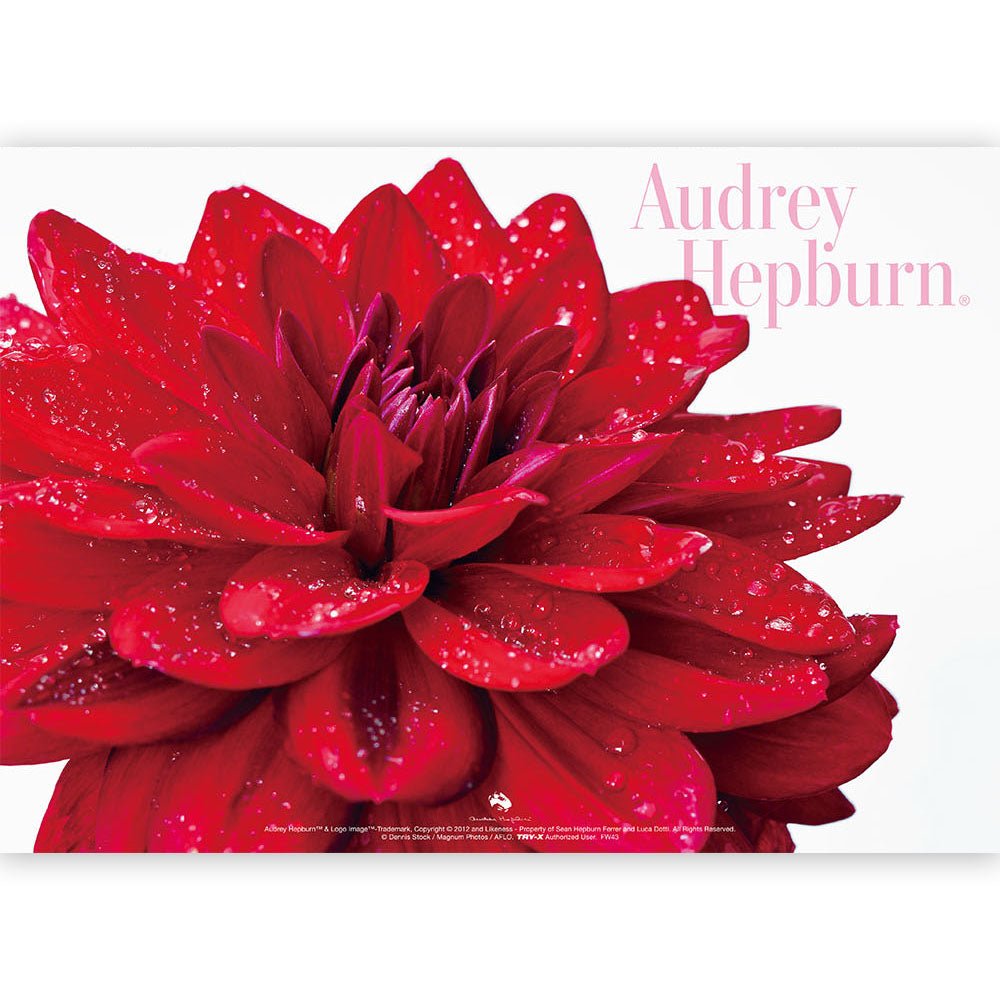 AUDREY HEPBURN オードリー・ヘプバーン - オードリー・ヘプバーン A4クリアファイル / C / ファイル・バインダー - PGS