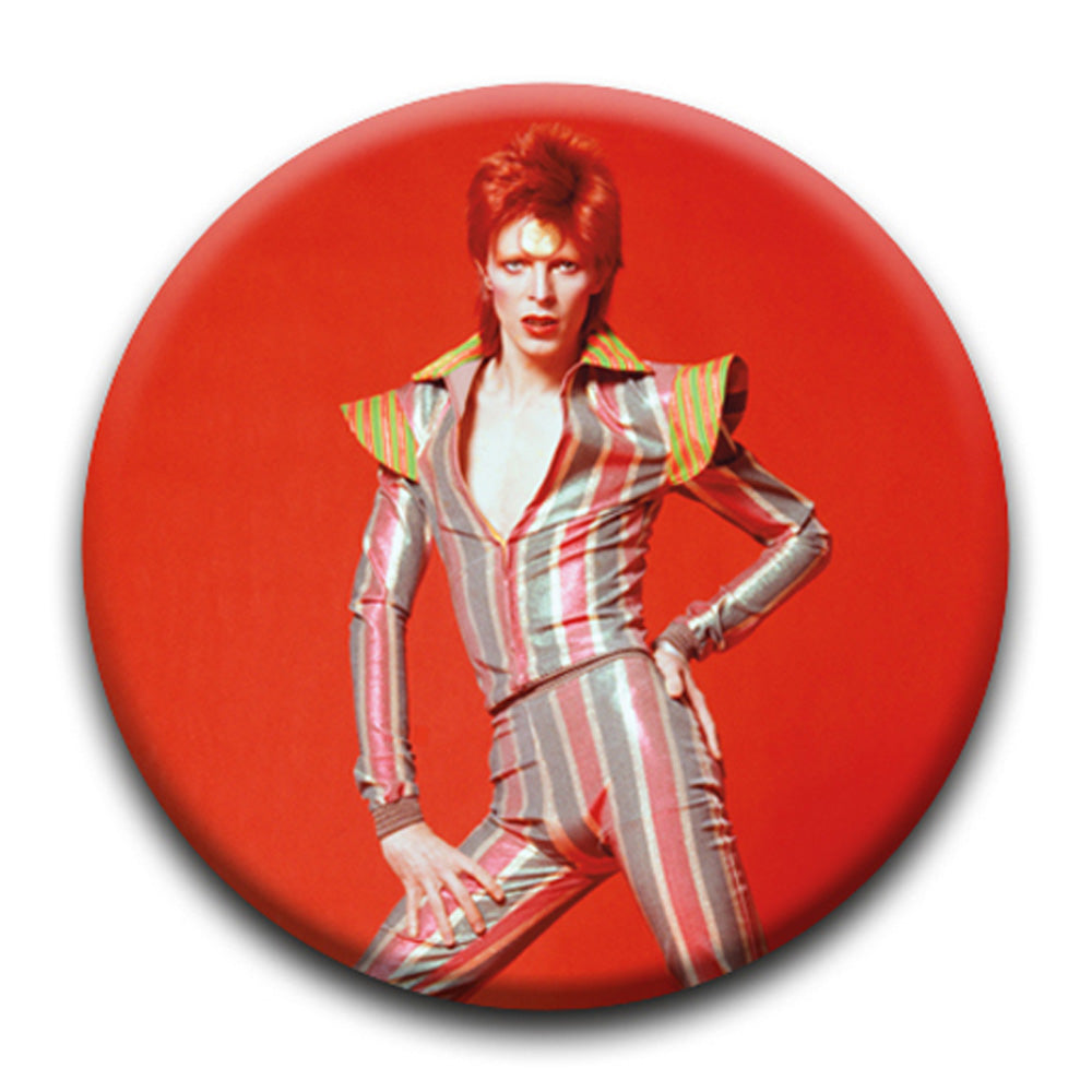 DAVID BOWIE ピンバッジ デヴィッドボウイ pins イギリス雑貨