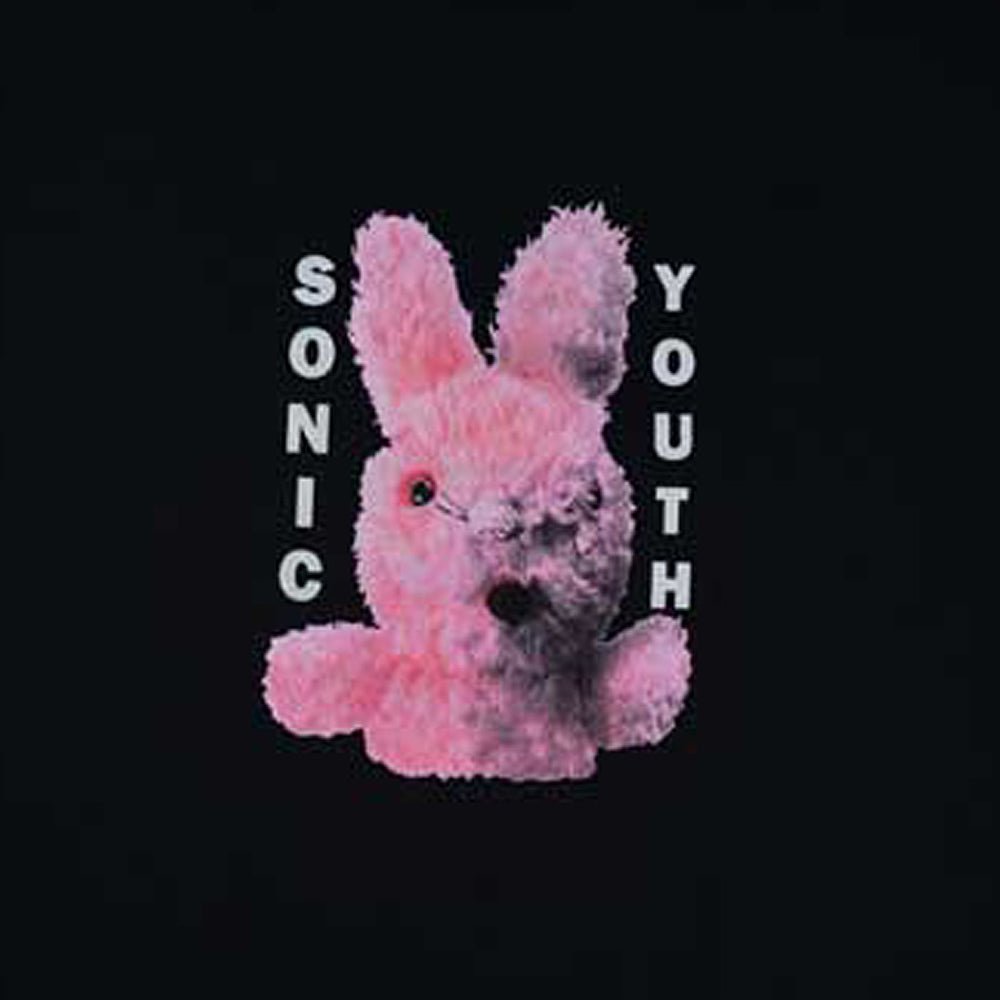 SONIC YOUTH ソニックユース - DIRTY BUNNY / Tシャツ / メンズ - PGS