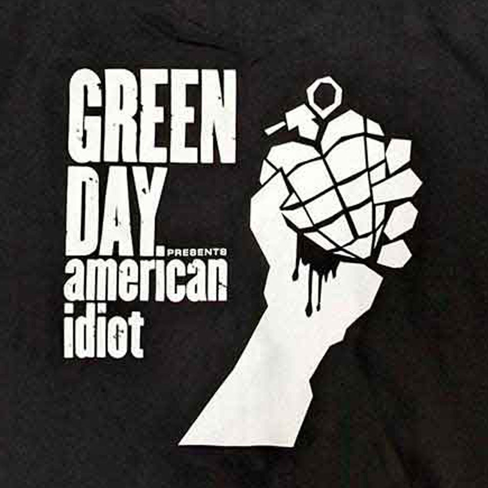 GREEN DAY - American Idiot The Musical / Back Print / Zip / Hoodie / Men's