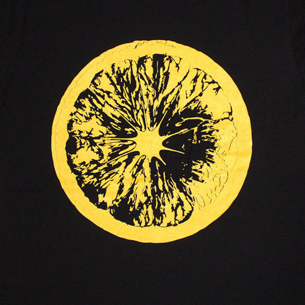 STONE ROSES ストーンローゼズ - Tour 2016 / バックプリントあり / Tシャツ / メンズ - PGS