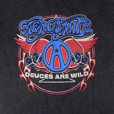 AEROSMITH エアロスミス (結成 55周年 ) - Rainbow Spade / Stone Wash / Tシャツ / メンズ - PGS