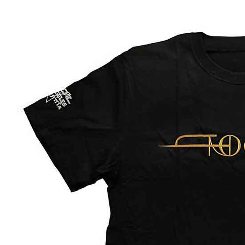 TOOL トゥール (12月 来日 ) - The Torch / バックプリントあり / アームプリントあり / Tシャツ / メンズ - PGS