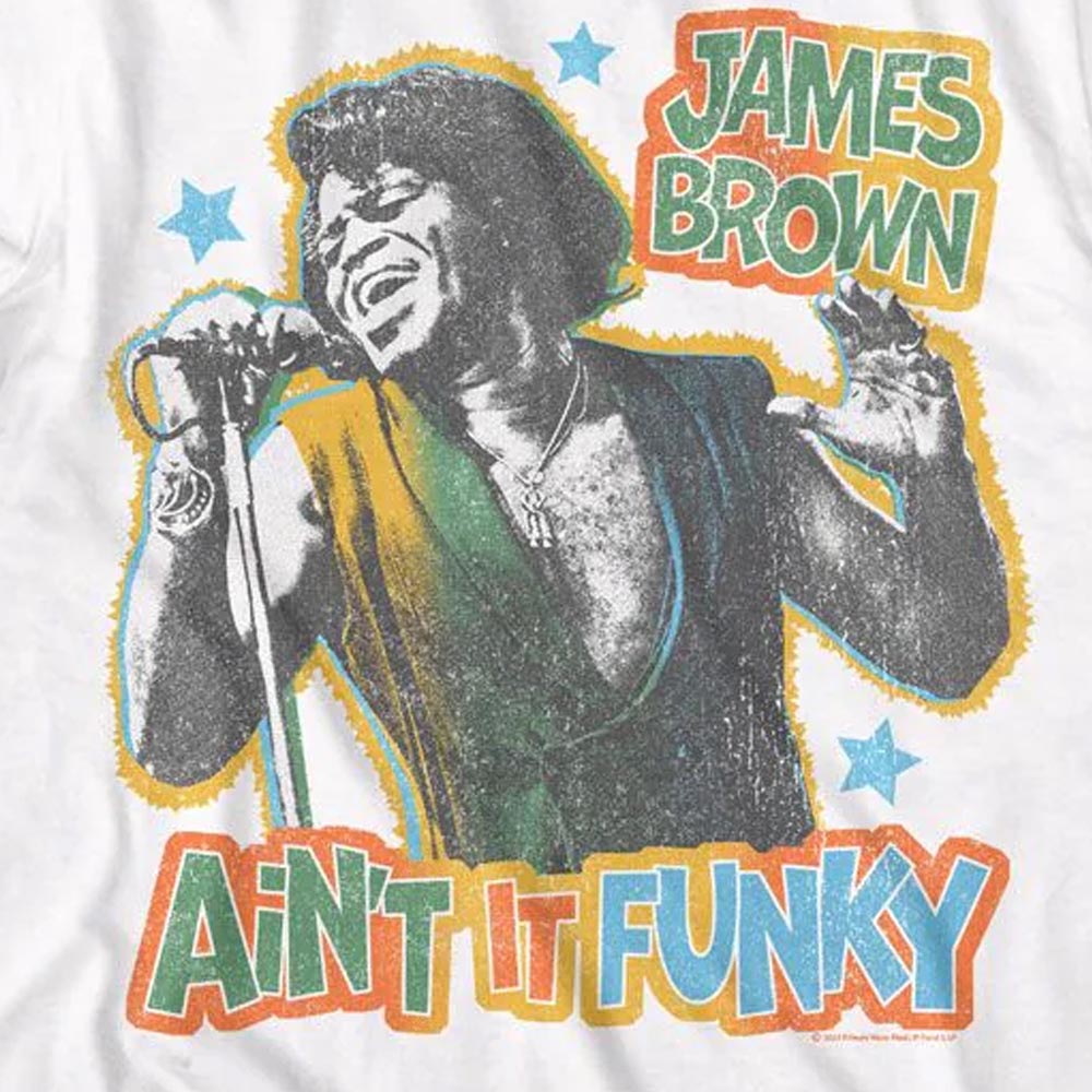 JAMES BROWN ジェームスブラウン (追悼 20年 ) - Ain't It Funky / Tシャツ / メンズ