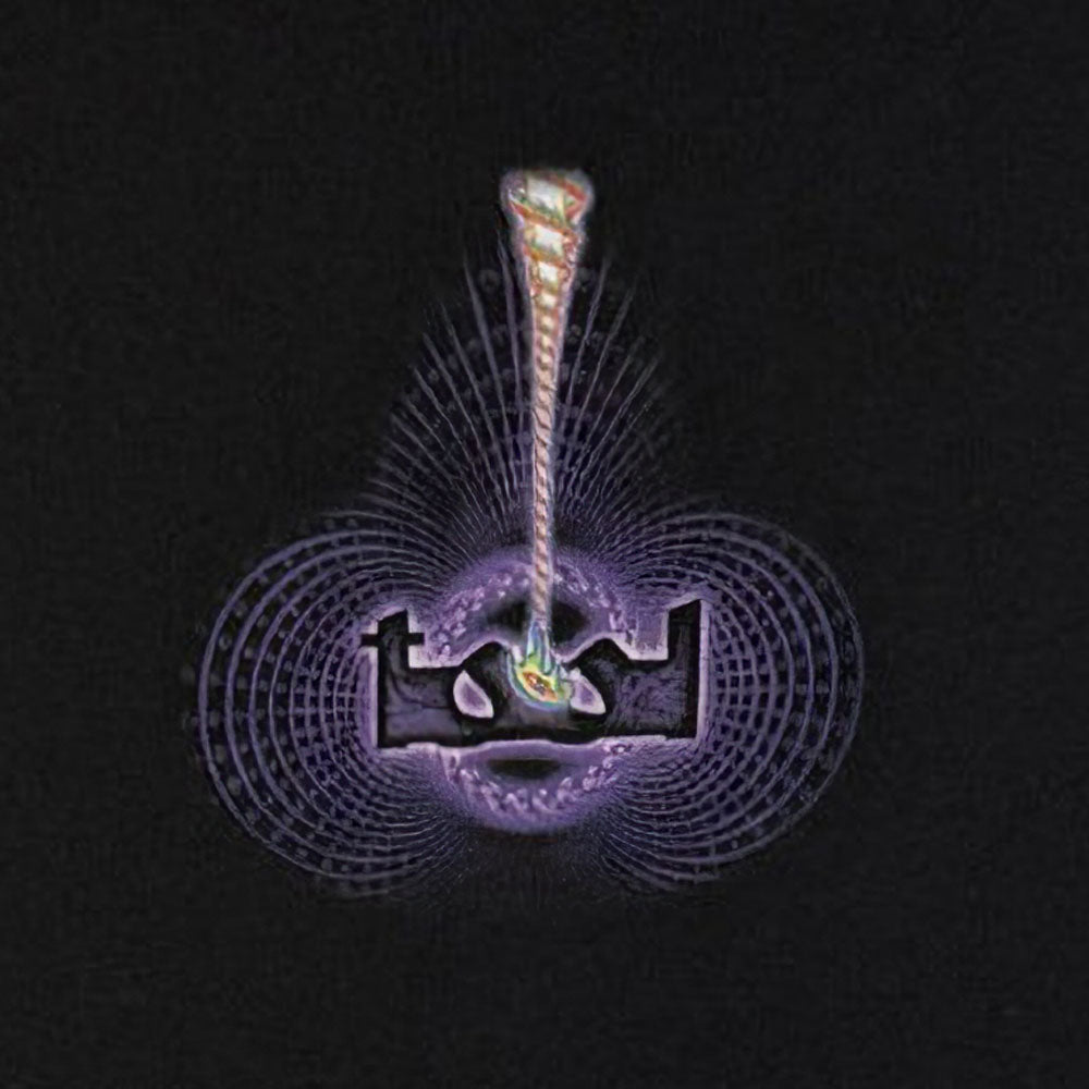 TOOL トゥール - Lateralus Dissection / バックプリントあり / カーボンソフト加工 / Tシャツ / メンズ