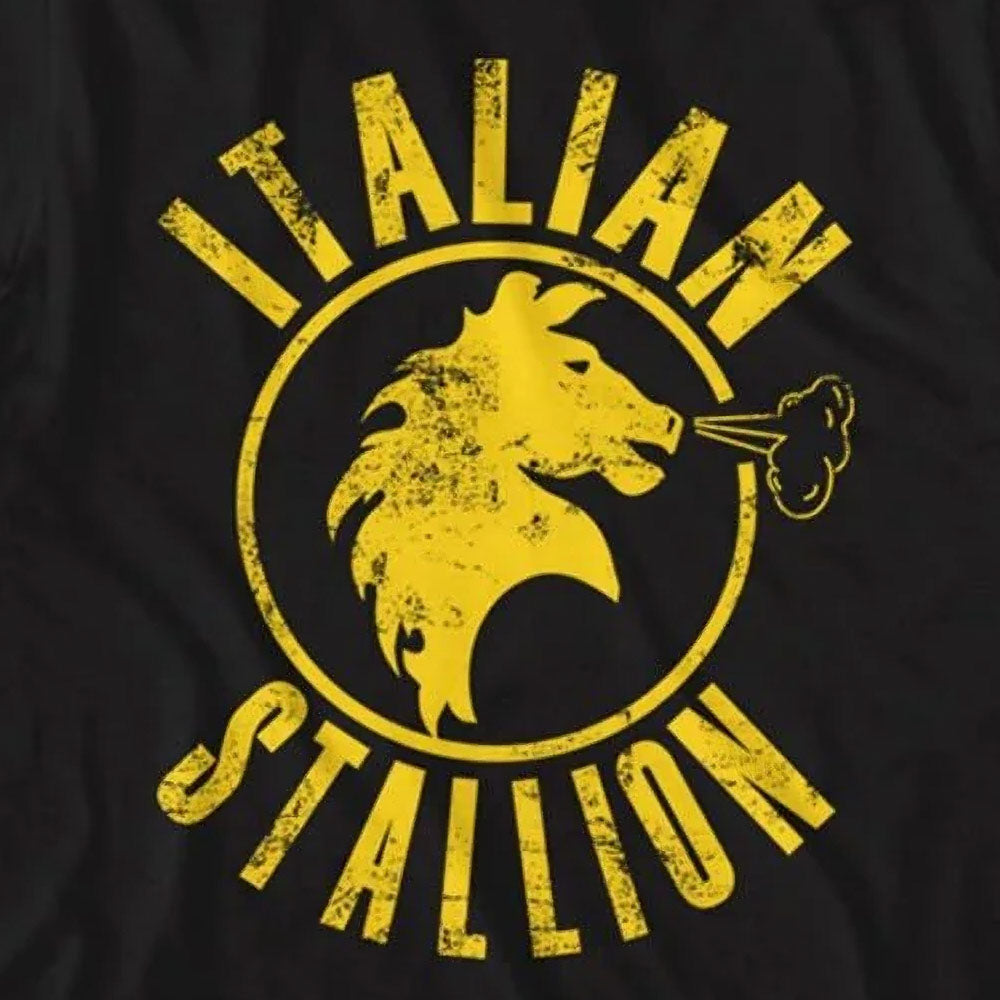 【予約商品】 ROCKY ロッキー (公開 50周年 ) - BLACK STALLION / Tシャツ / メンズ