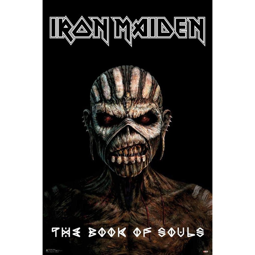 IRON MAIDEN アイアンメイデン (結成 50周年 ) - The Book Of Souls / ポスター - PGS