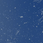 【年末年始休暇のお知らせ】 - PGS