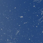 【年末年始休暇のお知らせ】