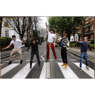 ONE DIRECTION (15th Anniversary) - Harry Styles / Evolution of a Modern Superstar / Books / Photo Books