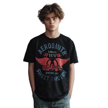 AEROSMITH｜Tシャツ｜公式ライセンス商品｜PGS