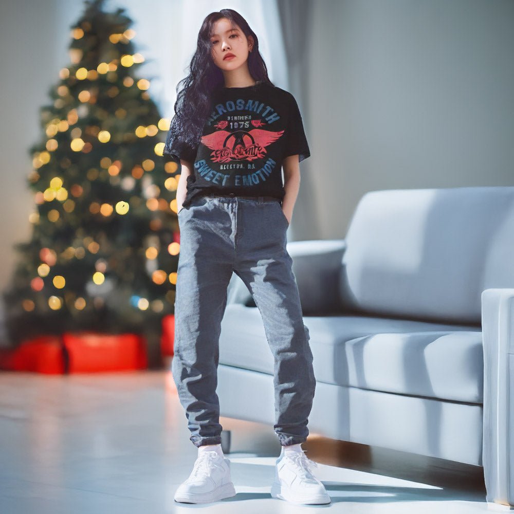 AEROSMITH｜Tシャツ｜公式ライセンス商品｜PGS