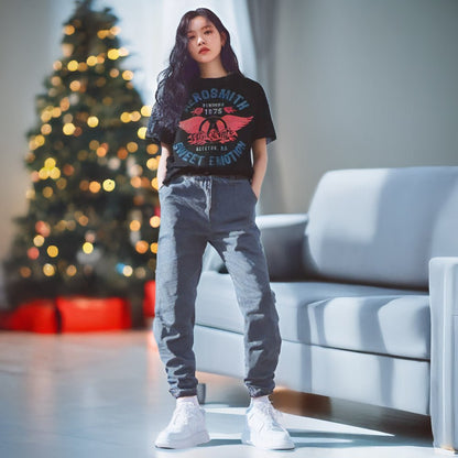AEROSMITH｜Tシャツ｜公式ライセンス商品｜PGS