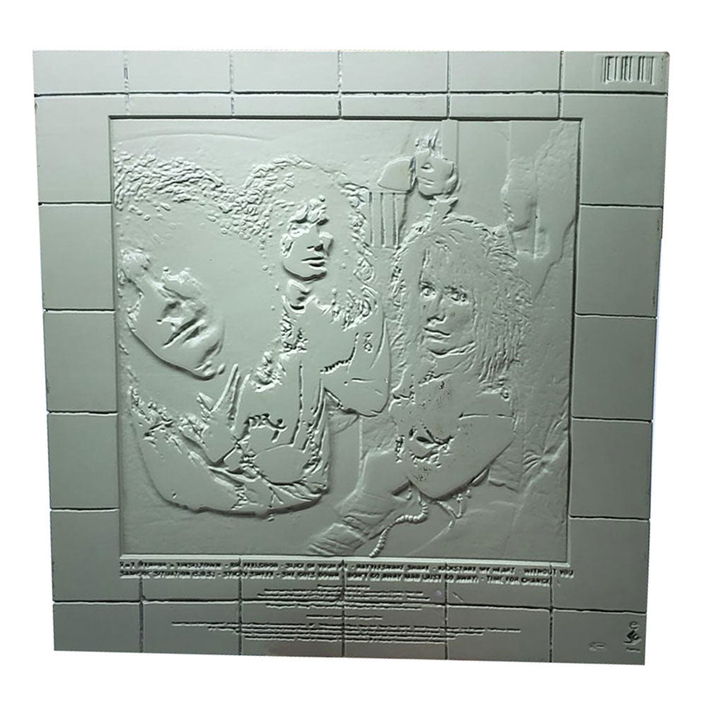 MOTLEY CRUE (40th Anniversary of Arrival in Japan) - Dr. Feelgood 3D Vinyl / Limited Edition 1989 / Interior Ornament