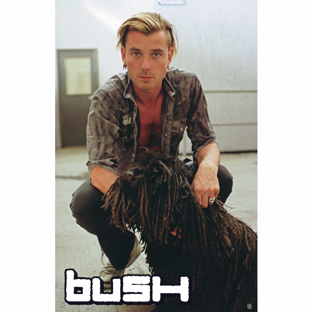 BUSH - DOG / ヴィンテージ