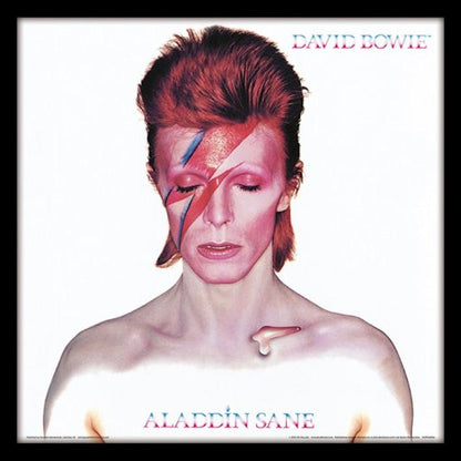 DAVID BOWIE - (追悼 10年 ) - ALADDIN SANE (アルバム・シリーズ額)