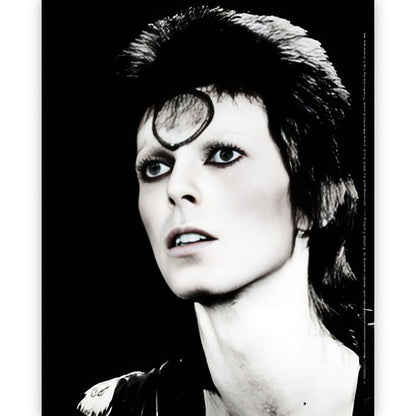 DAVID BOWIE - (追悼 10年 ) - Black & White
