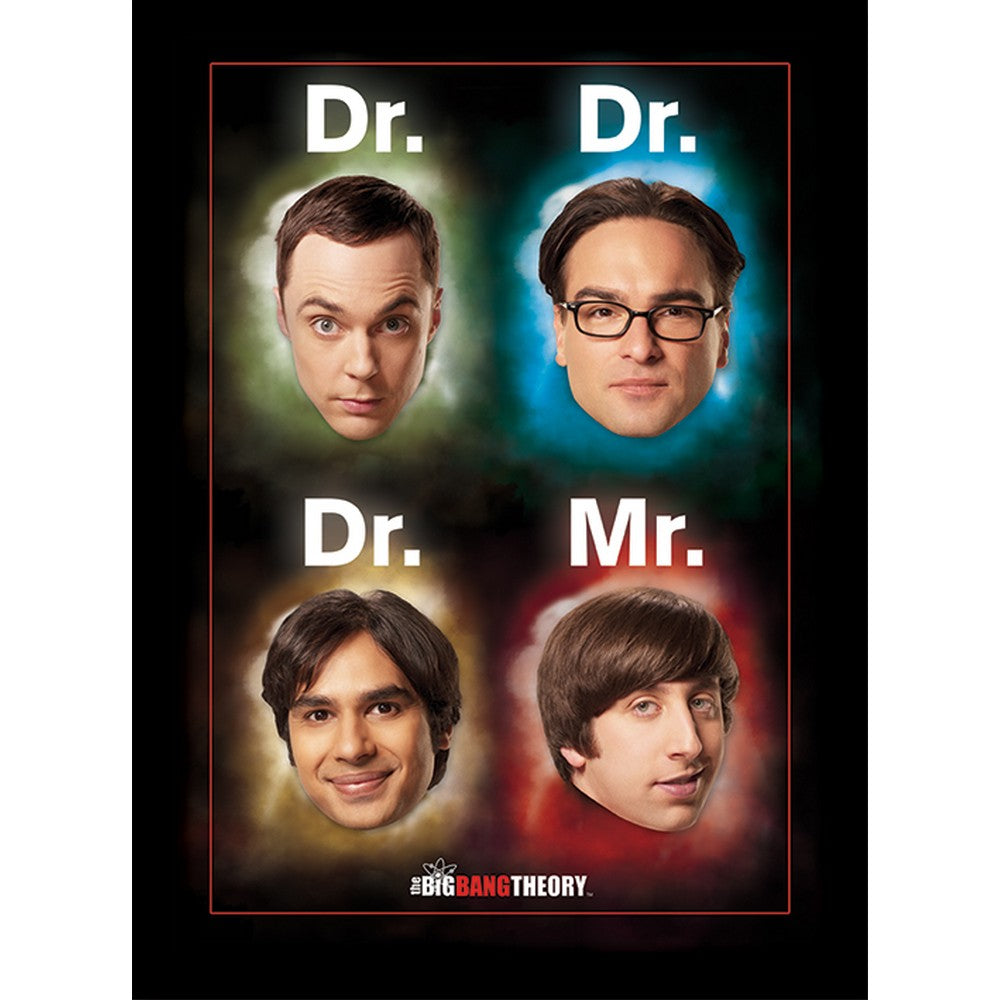 BIG BANG THEORY ビッグバンセオリー - Dr Mr / インテリア額 【公式 / オフィシャル】