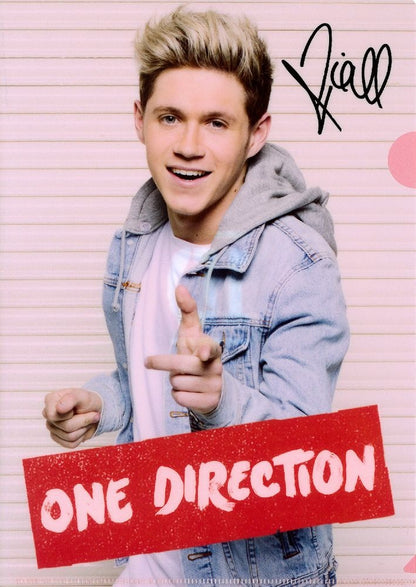 Japan-exclusive official product ONE DIRECTION (15th anniversary) - Clear file set of 5 VOL.2 / File binder
