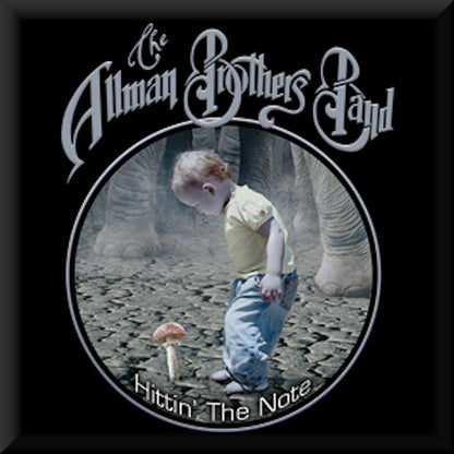 ALLMAN BROTHERS BAND - Shroom Kid