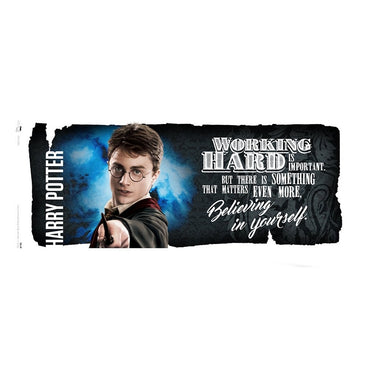 HARRY POTTER (2027 TV drama broadcast) - Dynamic Harry / Mug