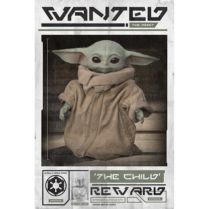 THE MANDALORIAN - Wanted The Child