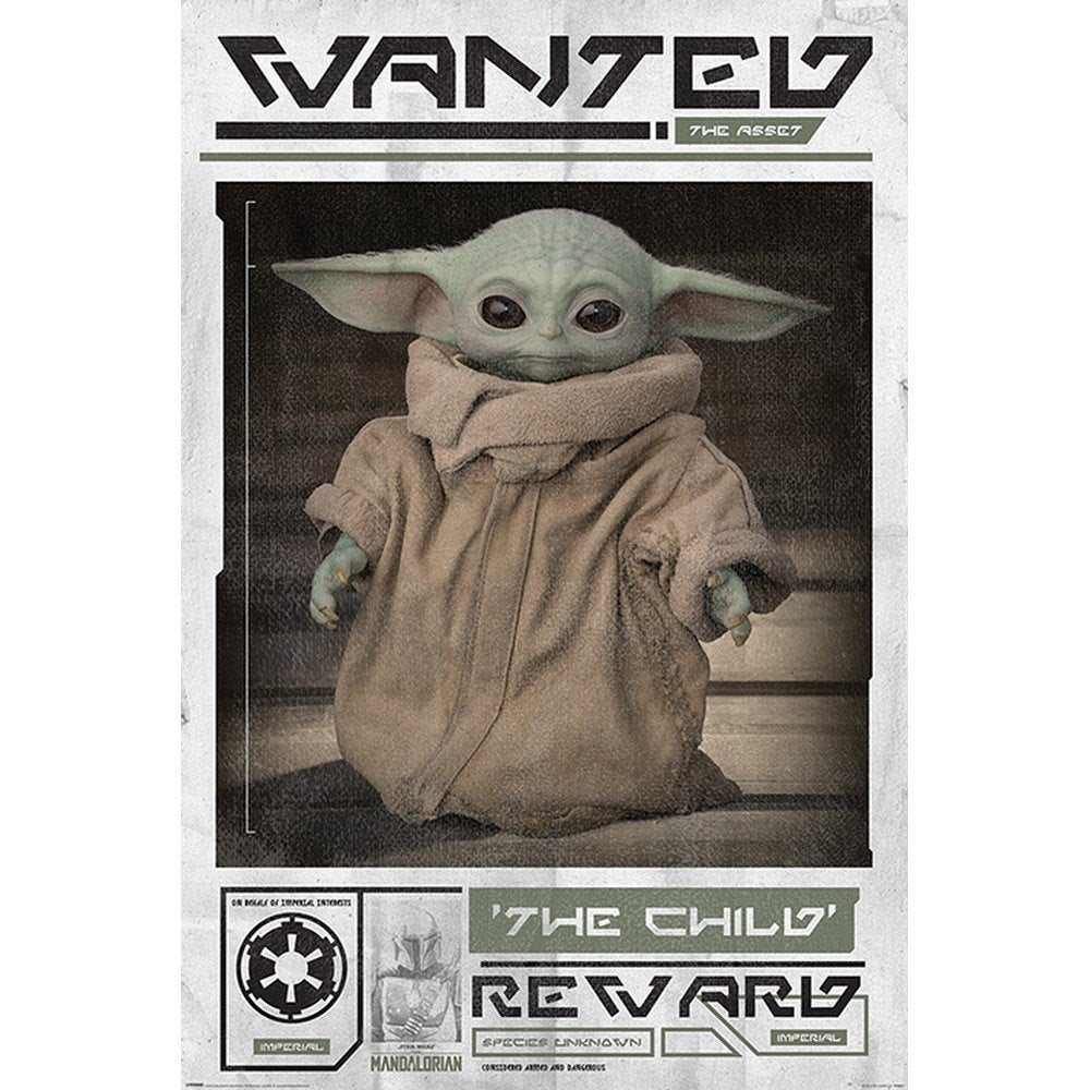 THE MANDALORIAN - Wanted The Child