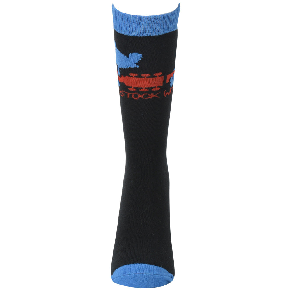 
                  
                    WOODSTOCK (55th Anniversary of the Movie) - Logo / Socks / Men's
                  
                