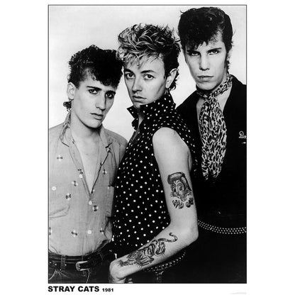 STRAY CATS - 1981