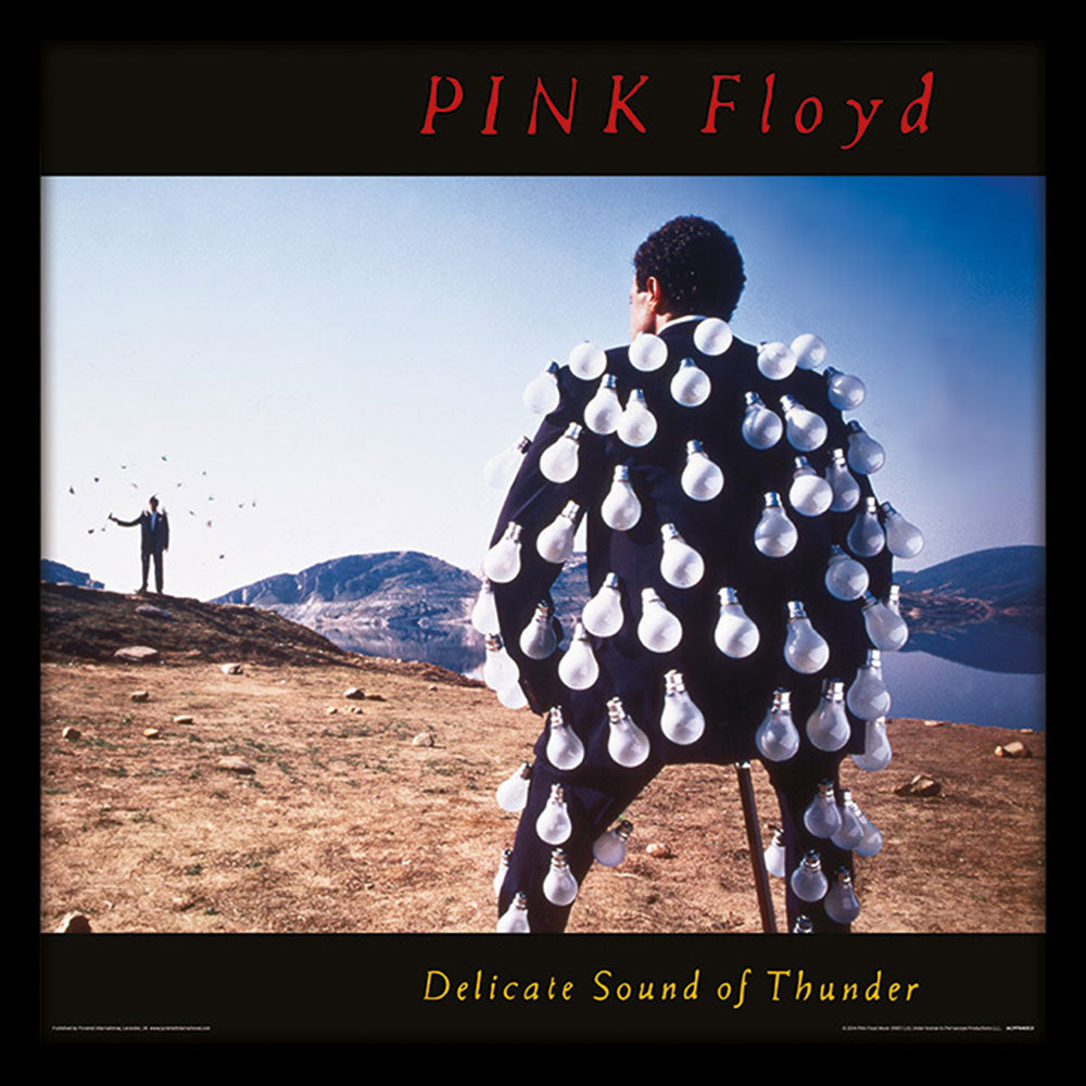 PINK FLOYD ピンクフロイド (結成 60周年 ) - Delicate Sound of Thunder(アルバム・シリーズ額) / インテリア額 【公式 / オフィシャル】