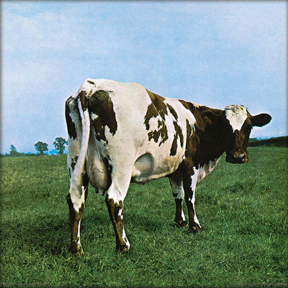 PINK FLOYD